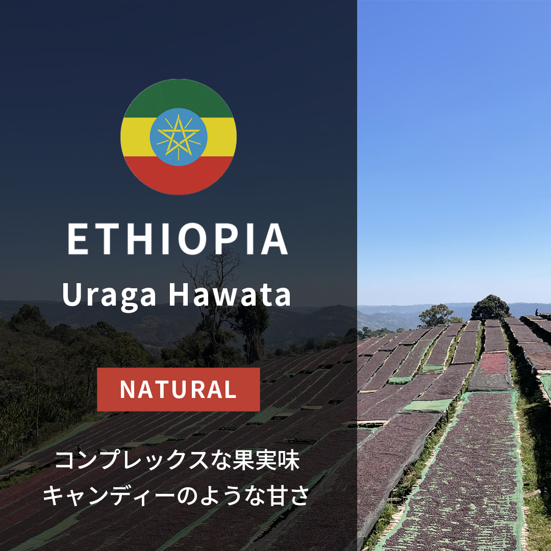 とこエチオピア Shantawane & ケニア Kii/Kieni AA COFFEE BEANS タグ